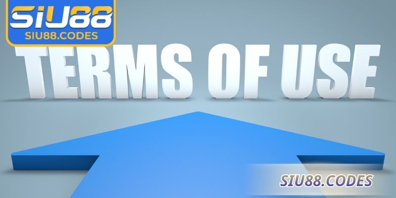 Tại sao cần tuân thủ điều khoản sử dụng Siu88 ? 
