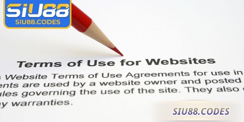 Nội dung trong điều khoản sử dụng Siu88