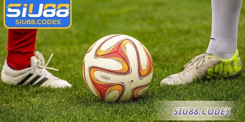 Biểu đồ thống kê kèo 1/2 Siu88 hiển thị phong độ rõ ràng
