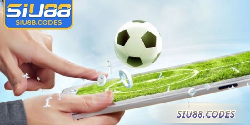 Đặt kèo Châu Âu tại cửa hòa